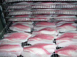 Manufacturers Exporters and Wholesale Suppliers of Fish Fillets New Delhi Delhi